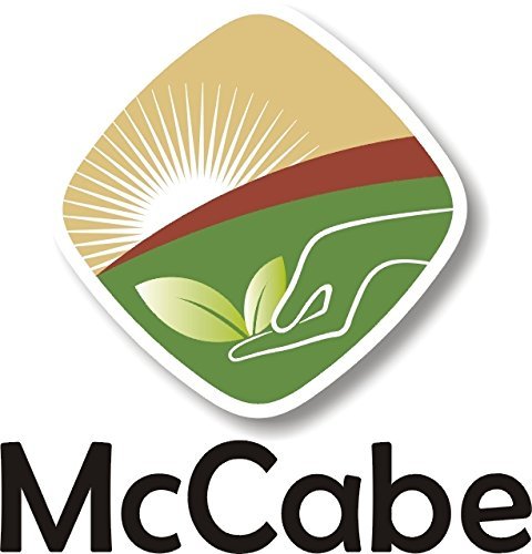 McCabe Organic Brown Rice Tea - Roasted Brown Rice Tea Korean | Rich in Fibers and Minerals | USDA and CCOF Certified Organic | Product of USA | 2 Lbs (32 Oz) Pack of 2