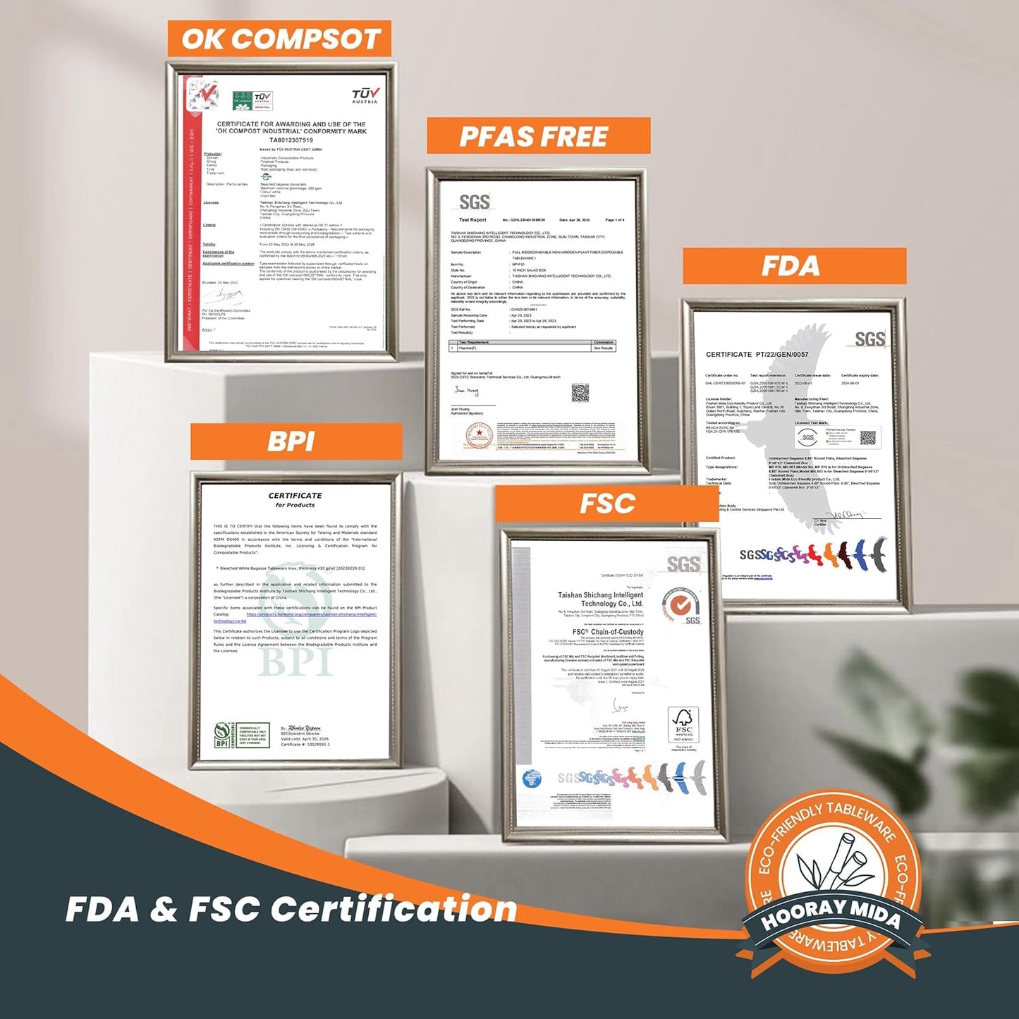 100% Compostable Plates - 125-Count Heavy Duty Disposable 10-Inch Plates Made of Bagasse - Eco-Friendly and Sustainable