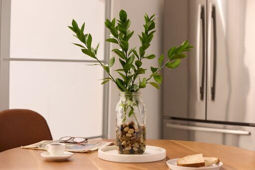 Ball Wide Mouth Glass Mason Jars with Lids and Bands, Used for Canning, Pickling, Juice, Jam, Jelly, Half Gallon Size 64 Ounce (Pack of 4)