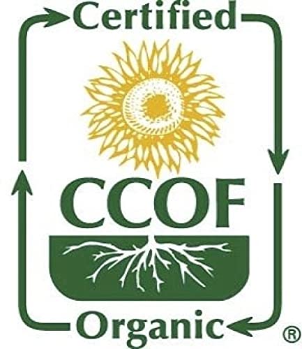 McCabe Organic White Quinoa Flour - Quinoa Flour Organic | Rich with Fiber & Minerals | USDA and CCOF Certified | Packed in USA | 2Lbs