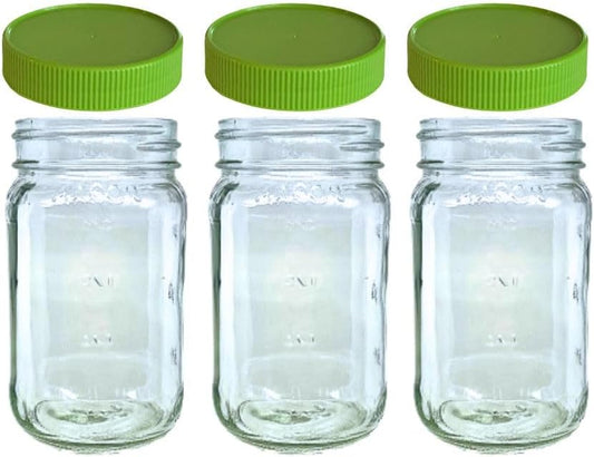 JARMING COLLECTIONS 16oz Glass Mason Jars with BPA-Free Plastic Lids – Regular Mouth Pint Mason Drinking and Storage Jars for Kitchen, Pantry, Canning, and Food Storage