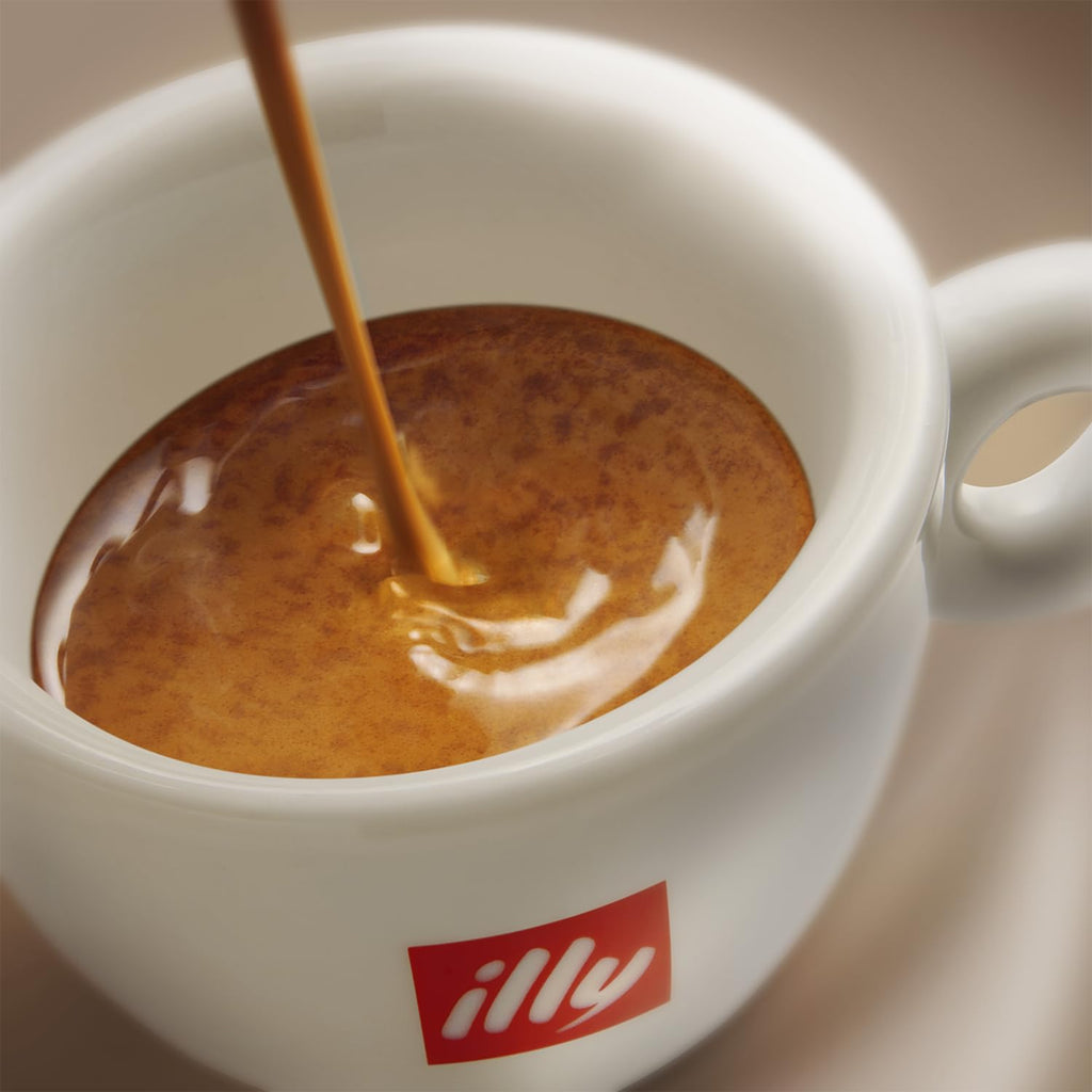 illy Whole Bean Coffee, Arabica Selections, India, Single Origin, 100% Arabica, All-Natural, No Preservatives, 250g (Pack of 1)